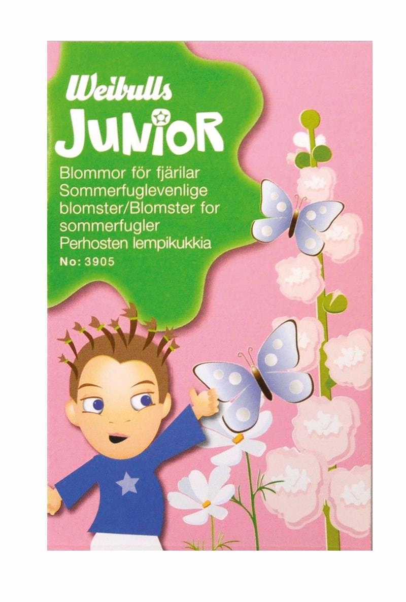 Junior Fjärilsblommor