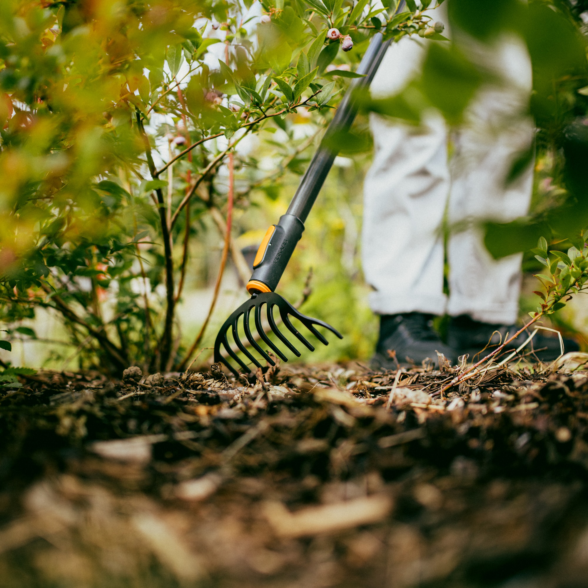 1080676_Fiskars_OneClick_Rose_Rake_1x1.jpg