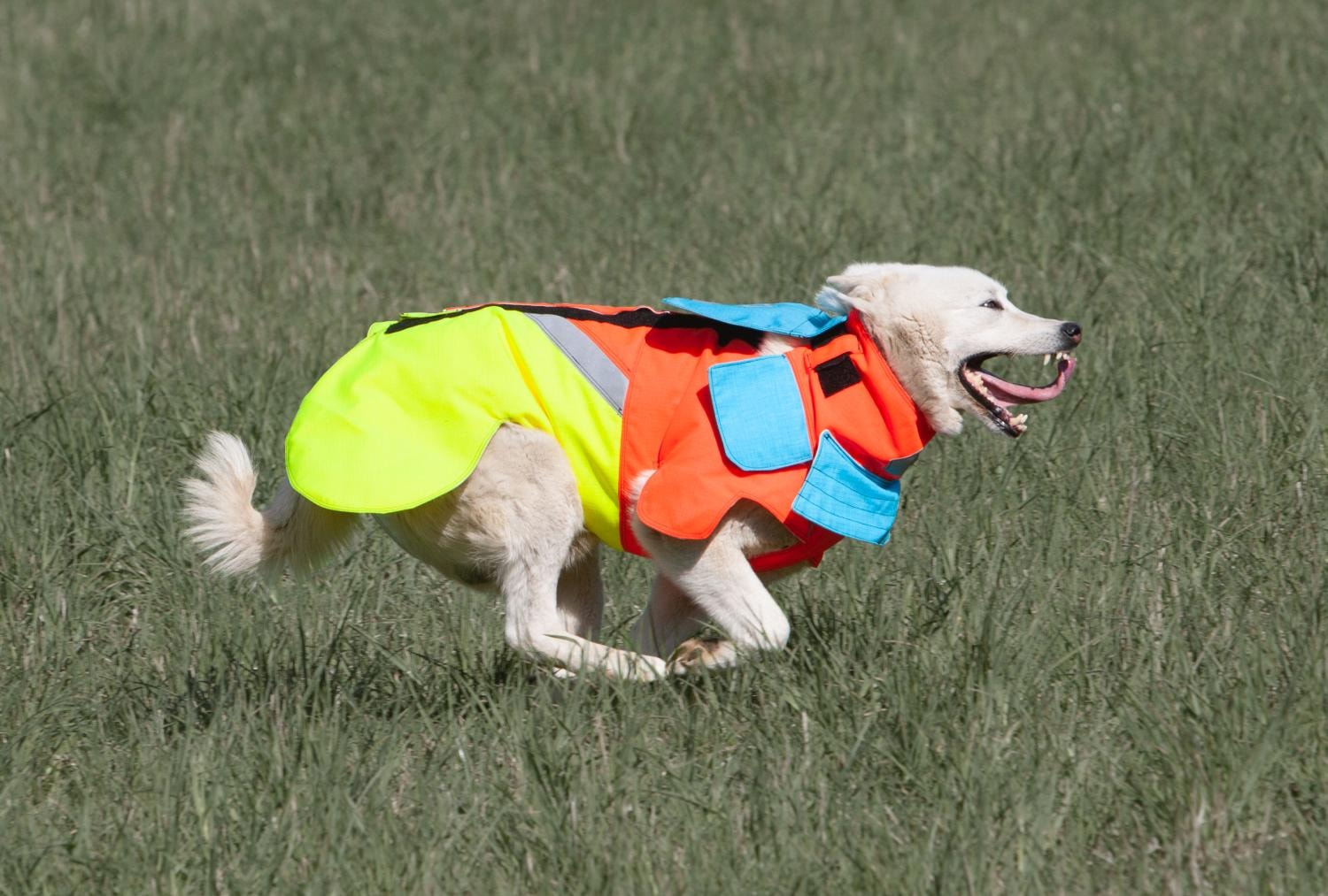 Tuskproof Boar v.5 Orange (M)