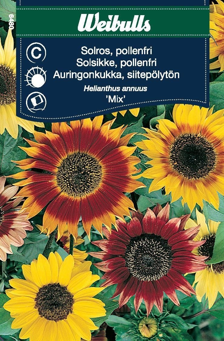 Weibulls Solros pollenfri mix Frö