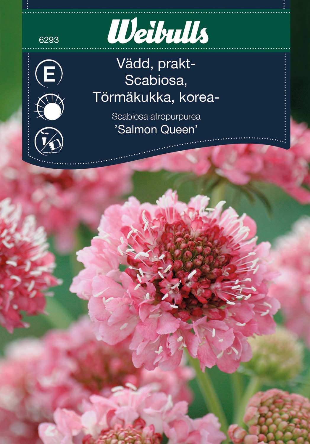 Weibulls Vädd, prakt-