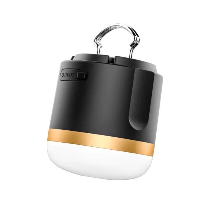 ecoflow-sverige-campinglampa-1-121938[1].webp