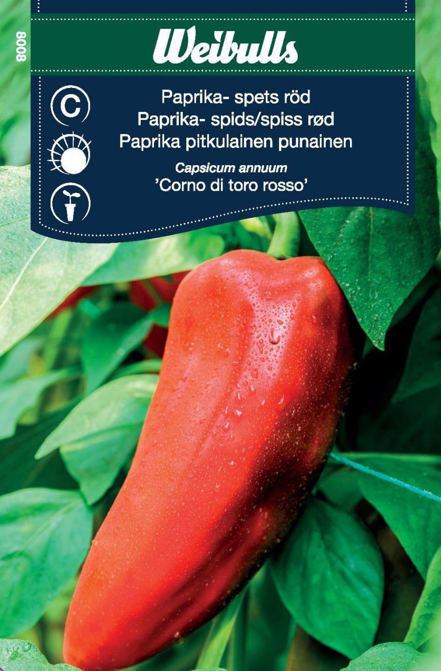 Paprika Spets Röd
