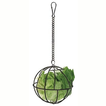 Fôrkule for smågnagere