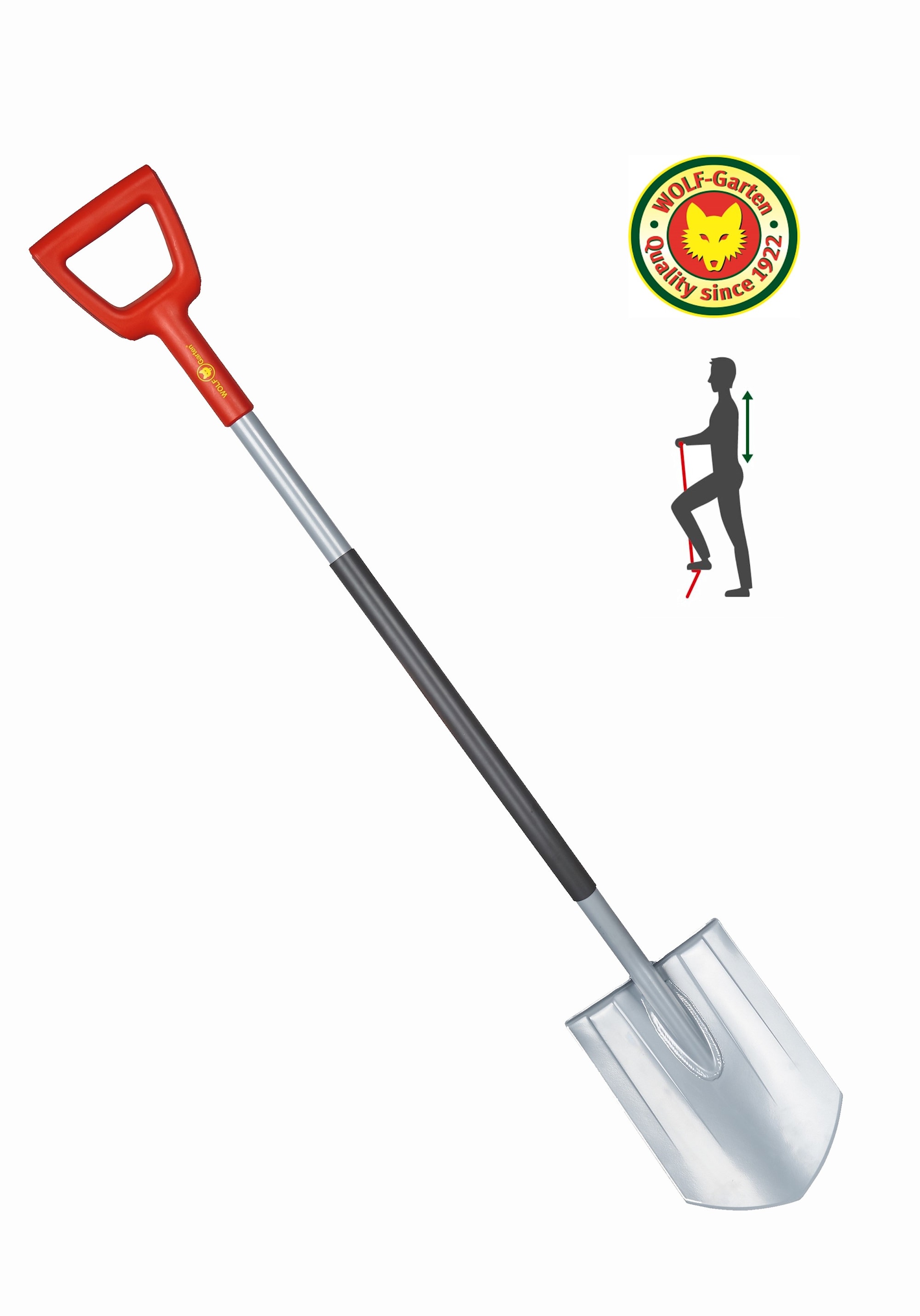 73ADA006650_ASP-D AltC.jpg