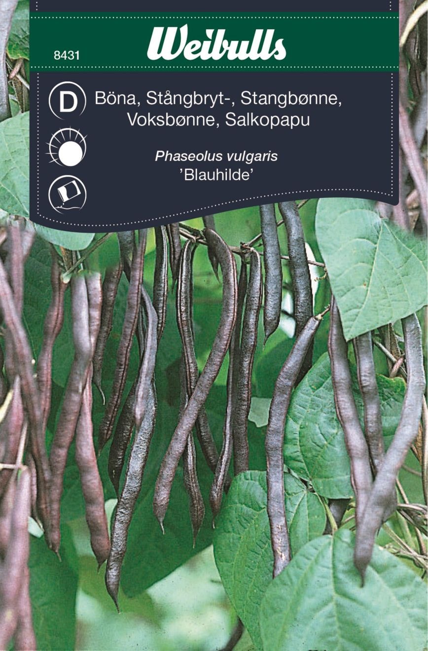 Weibulls Papu, Salkopapu Siemenet