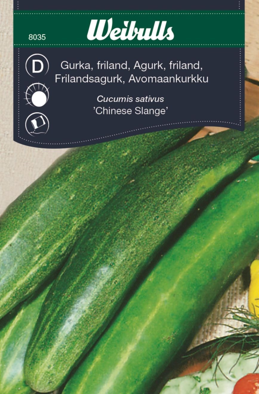 Weibulls Gurka, chinese slange