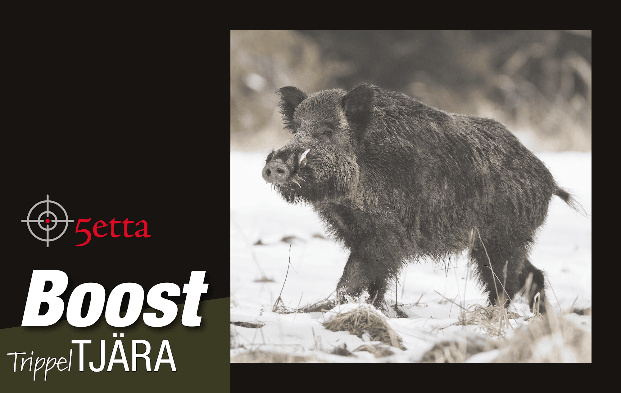 5etta Boost_Tjara.png