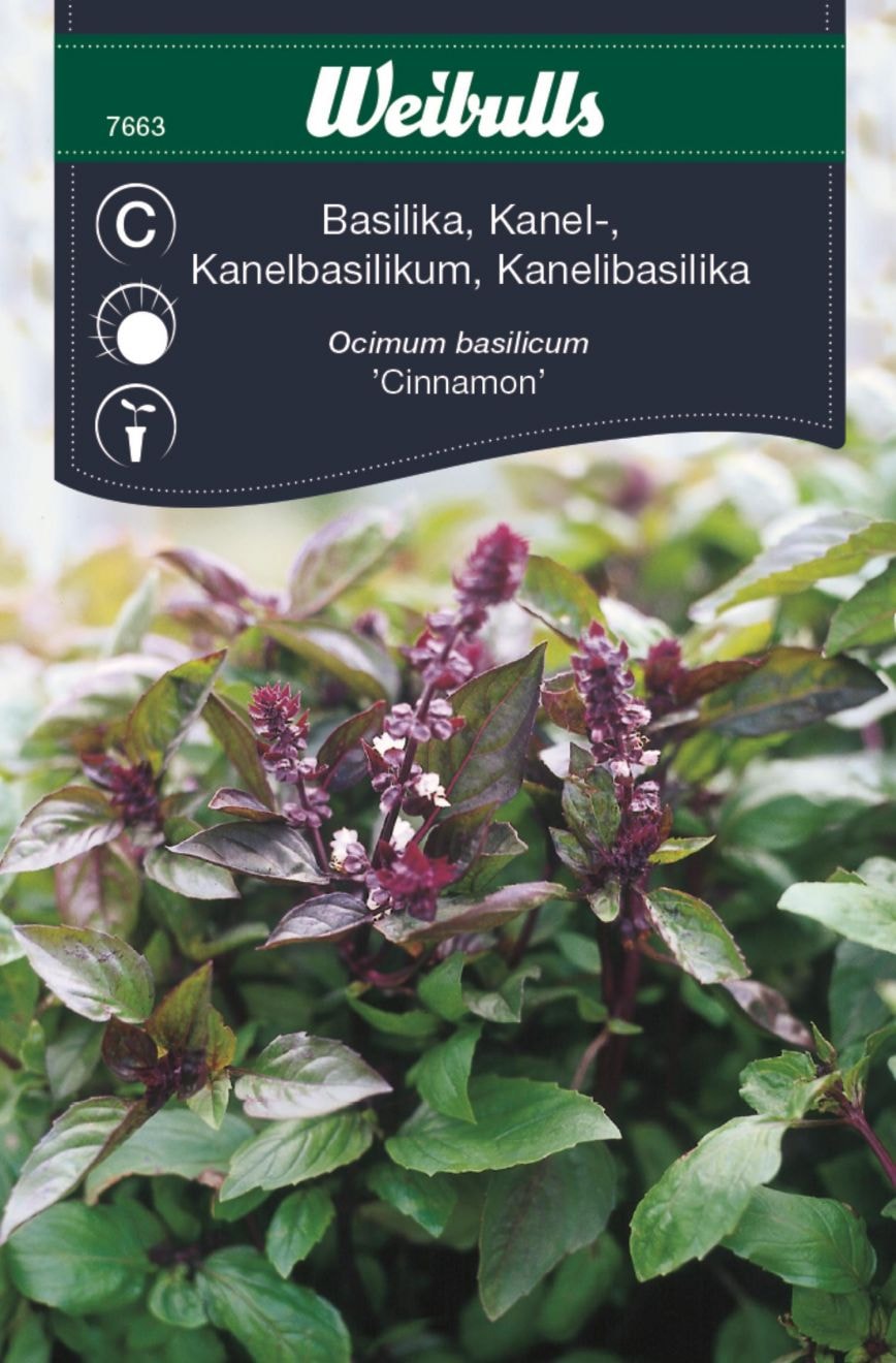 Weibulls Kanelbasilika, "Cinnamon"