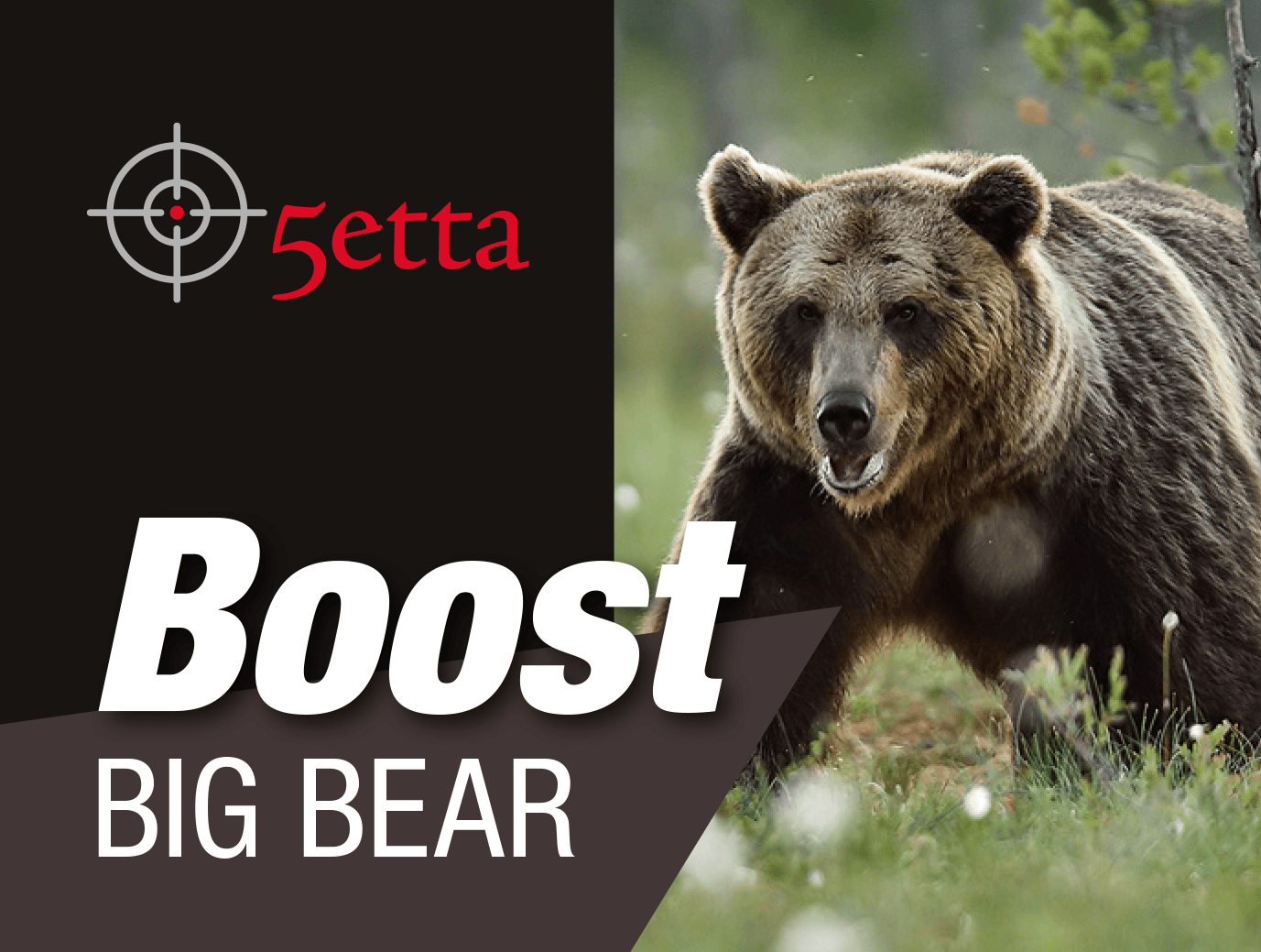 boost-big-bear-etikett-utan-text.png
