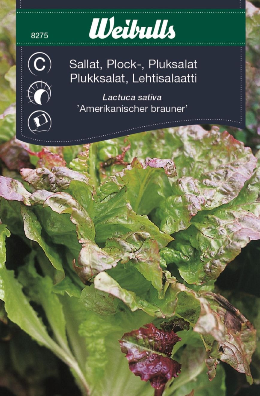 Weibulls Sallat, Plock Am Brun Frö