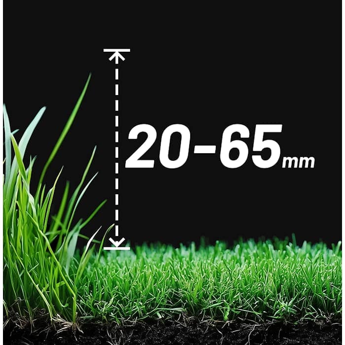 widercoveragewithcustomheight590600 (1).webp