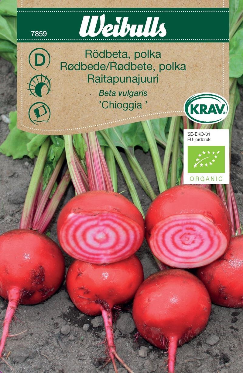 Rödbeta Polka Krav