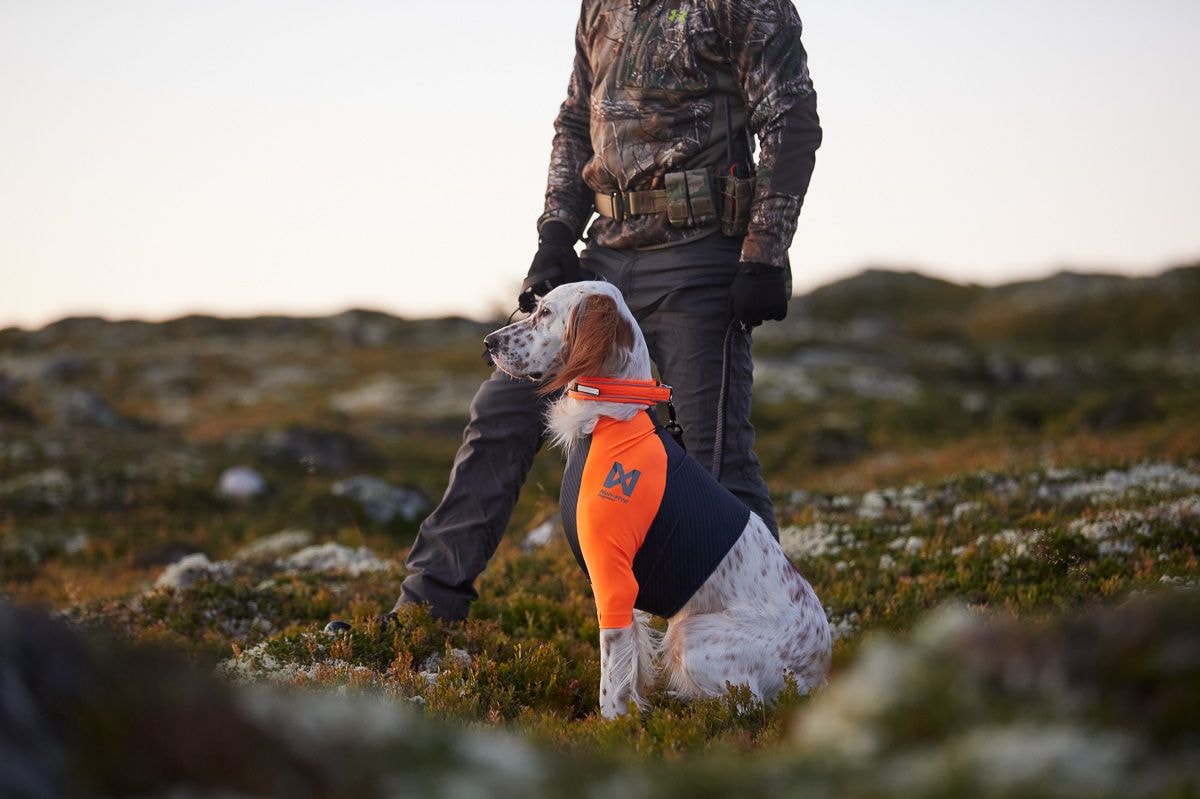 Non-Stop Dogwear Protector T-shirt miljobild.jpeg