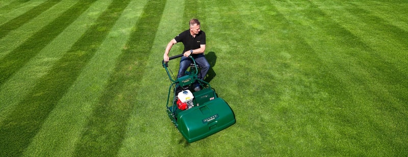 Buckingham_30H_Wide.jfif