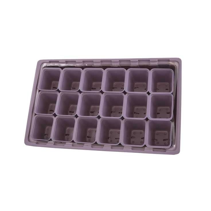 Weibulls Gewächshaus Hobby Flieder