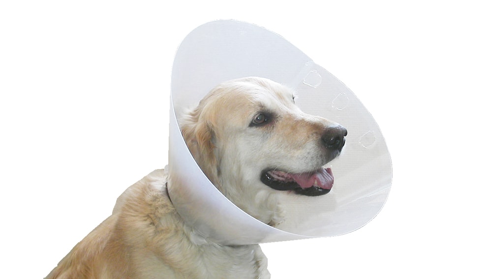 Image title missing