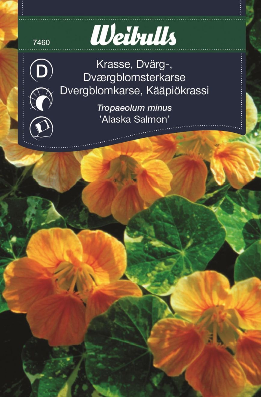 Weibulls Krasse alaska salm. dvärg