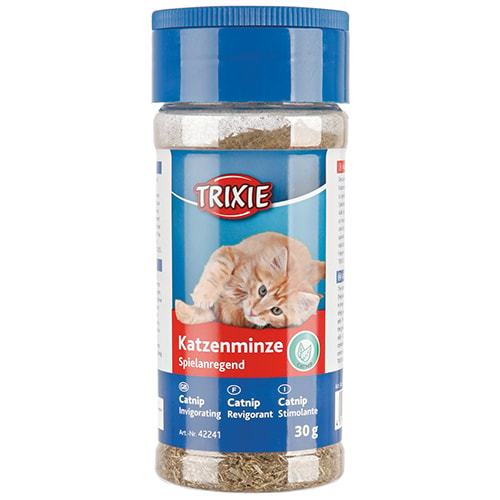 Kattmynta i burk 30G