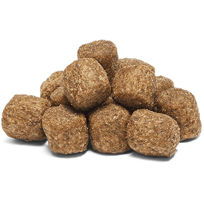 doggy-original-bitar-1[1].png
