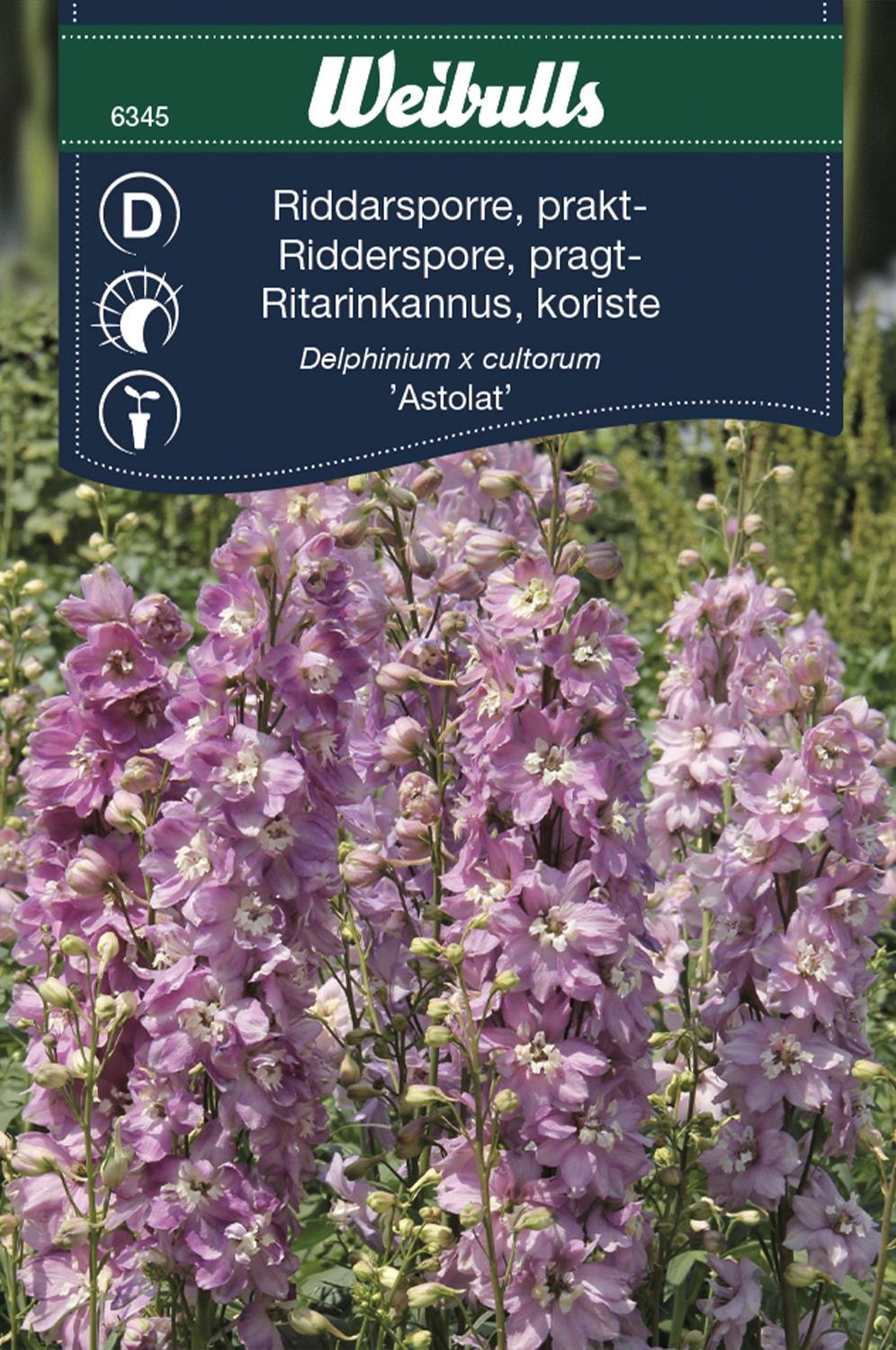 Weibulls Riddarsporre Astolat Frö