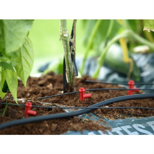 Vitavia Droppinnar 15 st