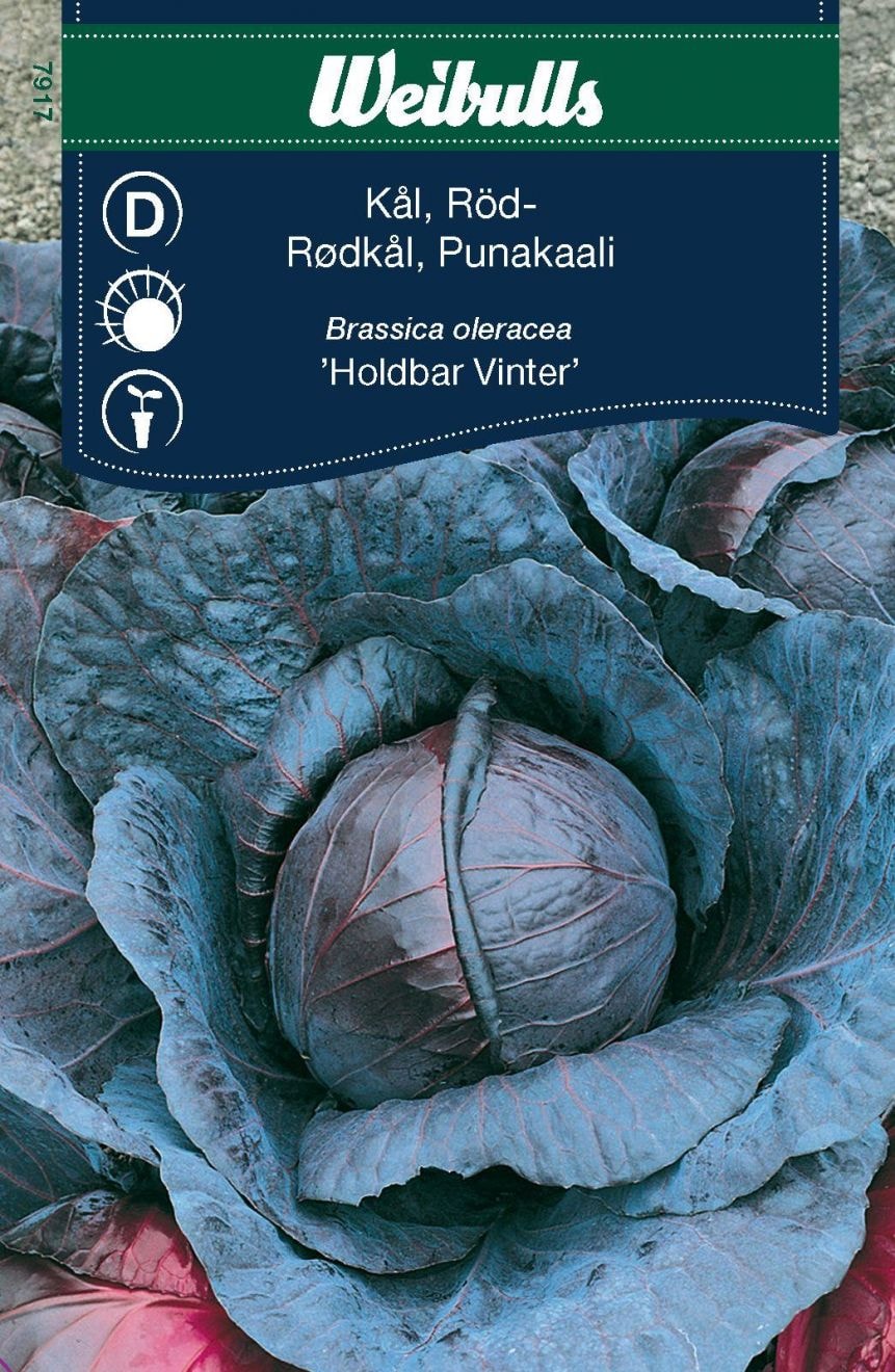 Weibulls Kål, huvud röd Frö