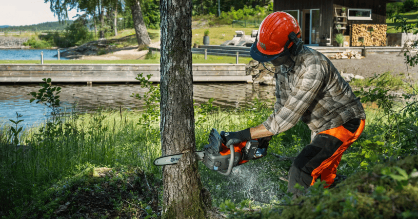 Skärmbild 2026-01-28 130412.png