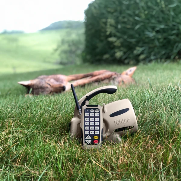 350_fieldshotwithcoyotes 3.webp