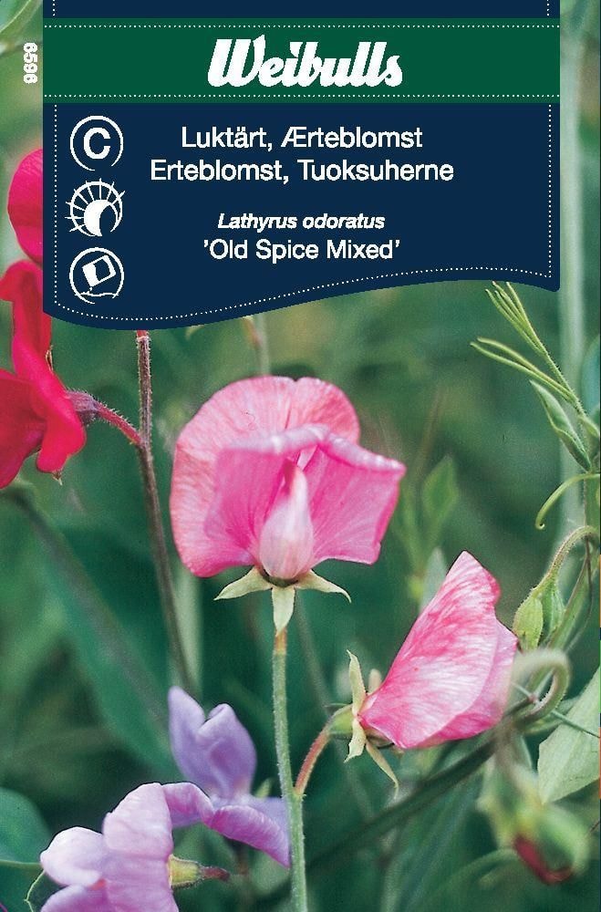 Weibulls Luktärt Old spice mix