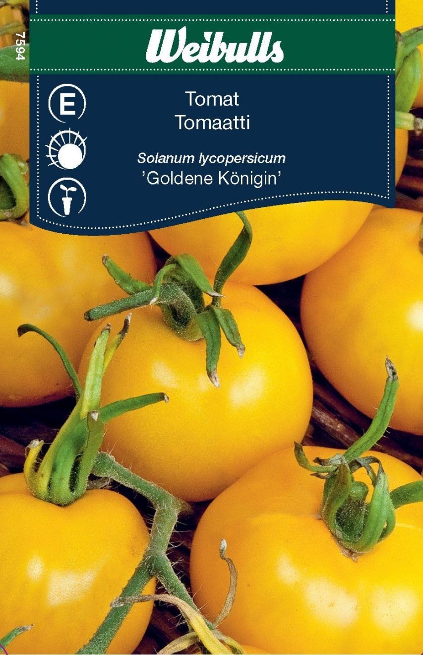 Tomat Goldene Königin