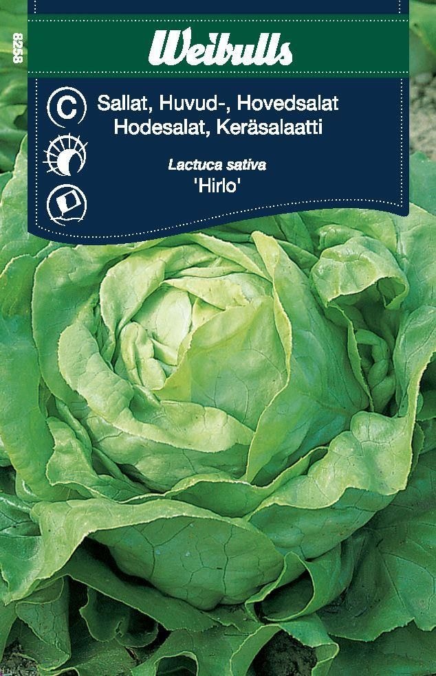 Weibulls Sallat, Huvud Hilro Frö