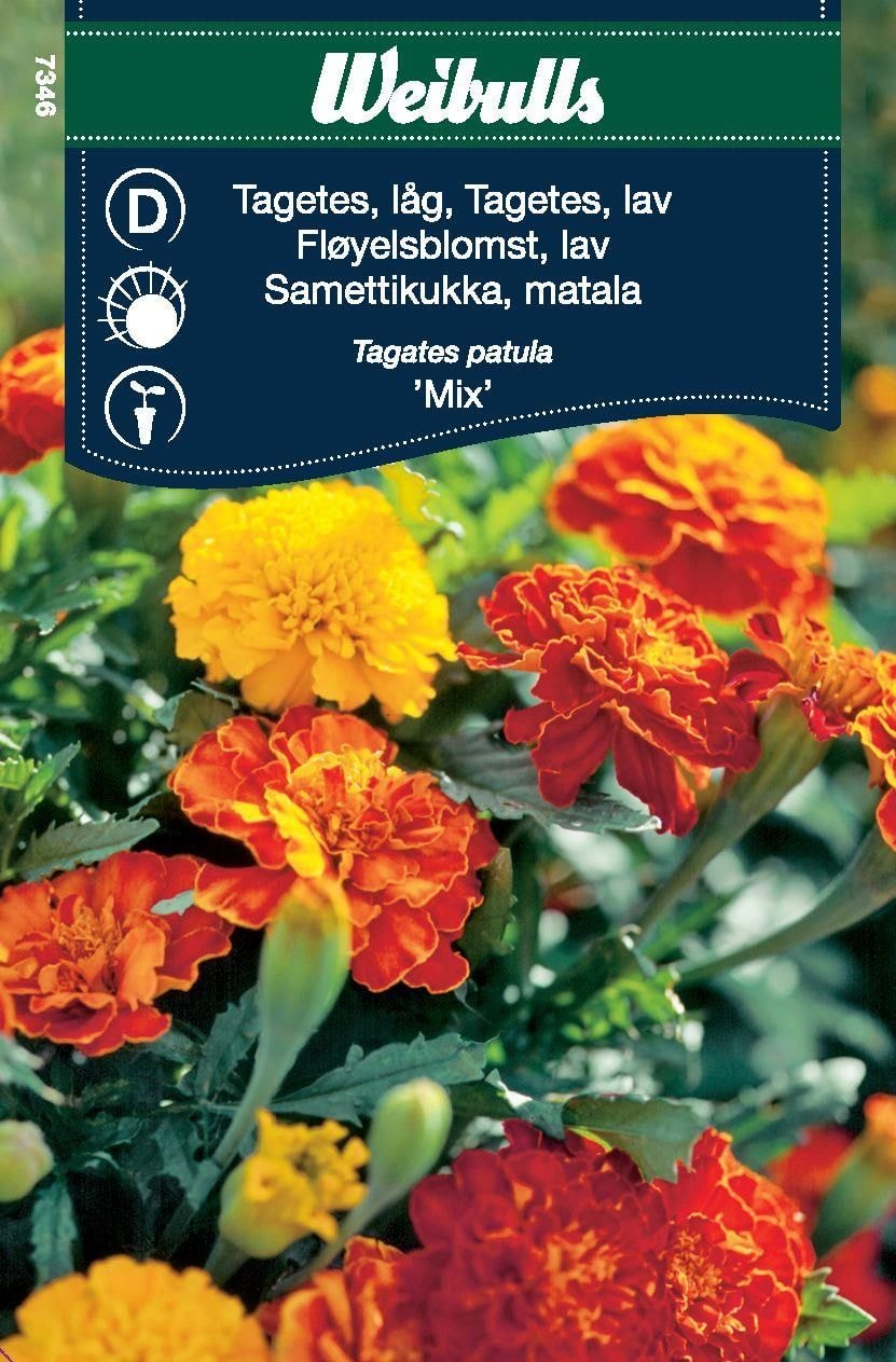 Weibulls Tagetes låg mix