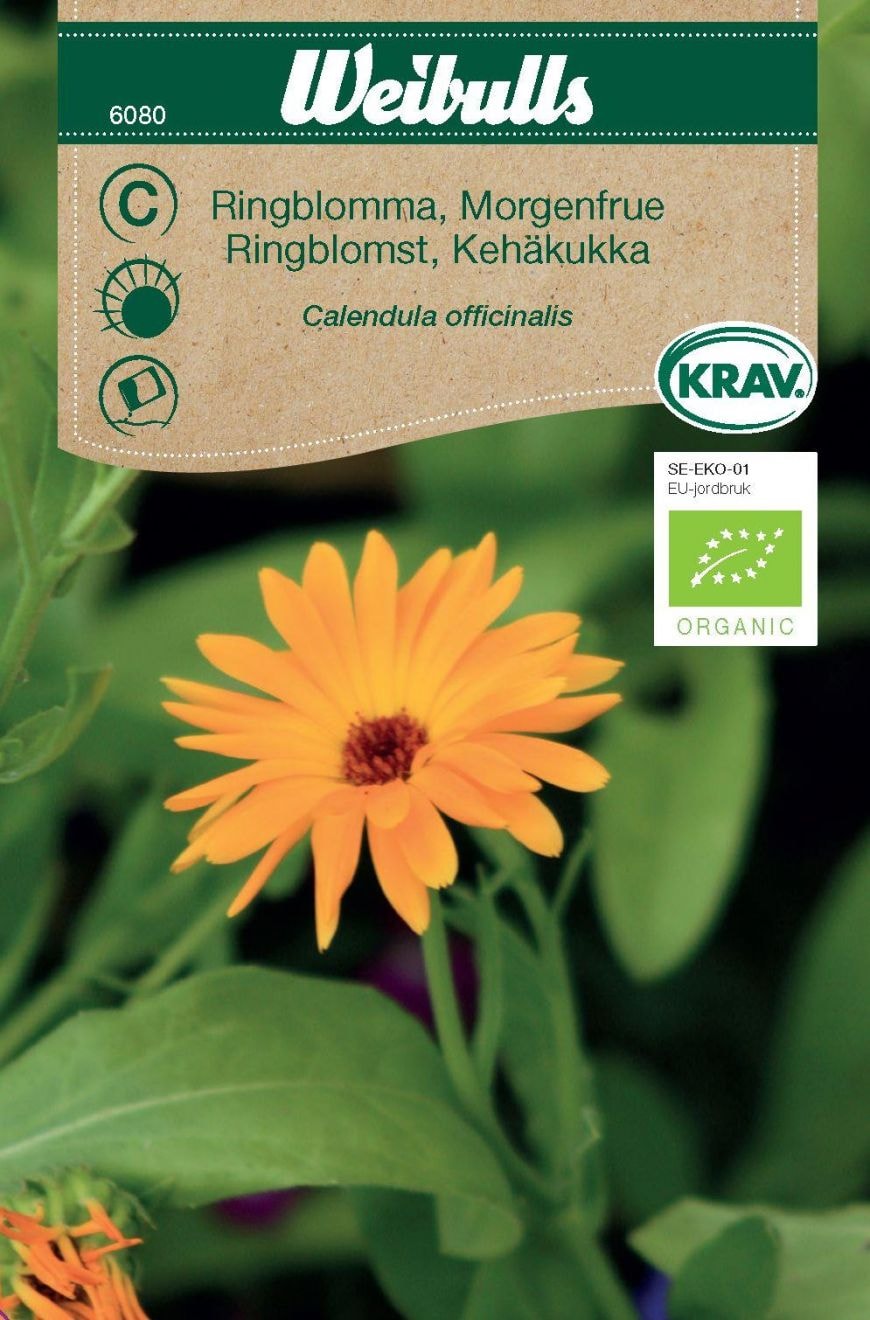 Weibulls Kehäkukka Siemenet