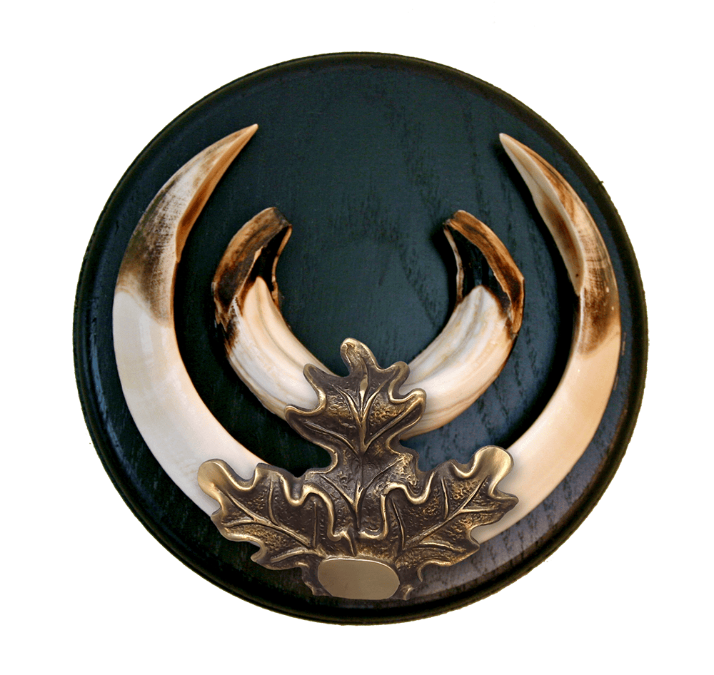 Eklov_massing_3.png