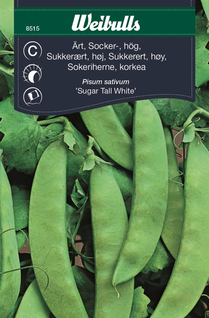 Weibulls Ärt, sockerärt hög