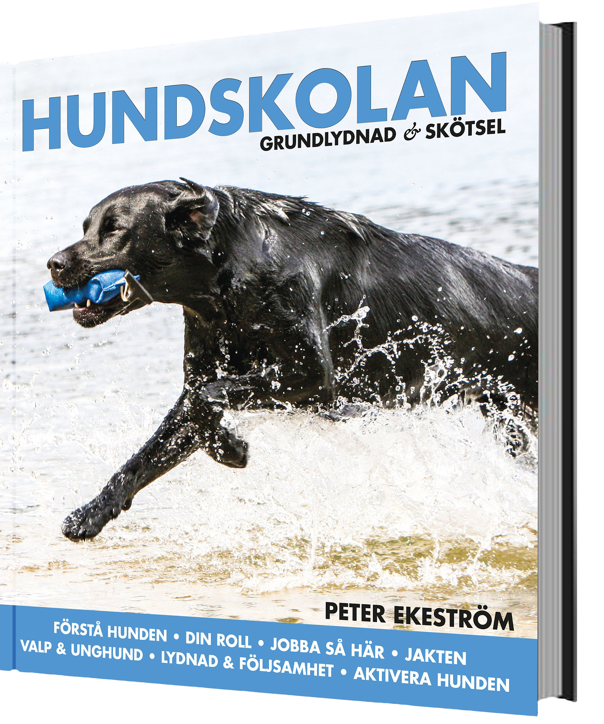 HUNDSKOLAN, grundlydnad & skötsel