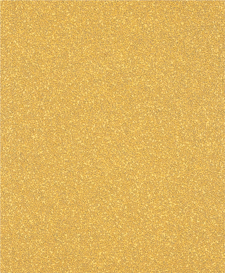 Bosch Slipsark 230X280mm K400