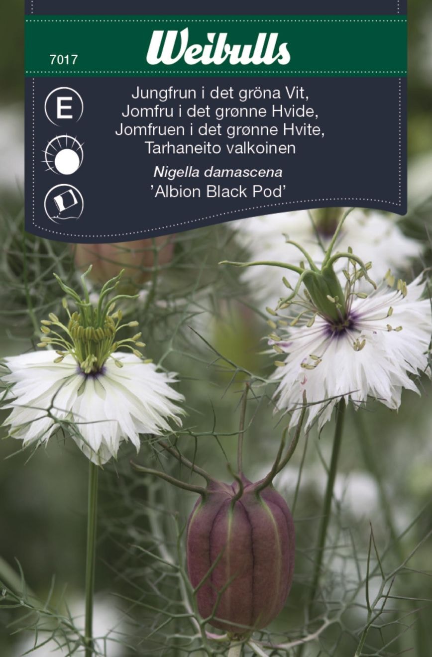 Weibulls Tarhaneito Valkoinen