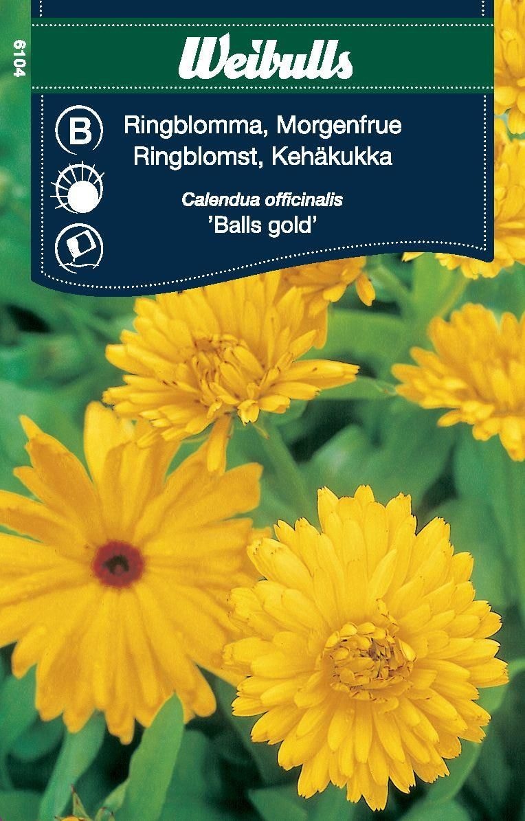 Weibulls Kehäkukka Balls kulta