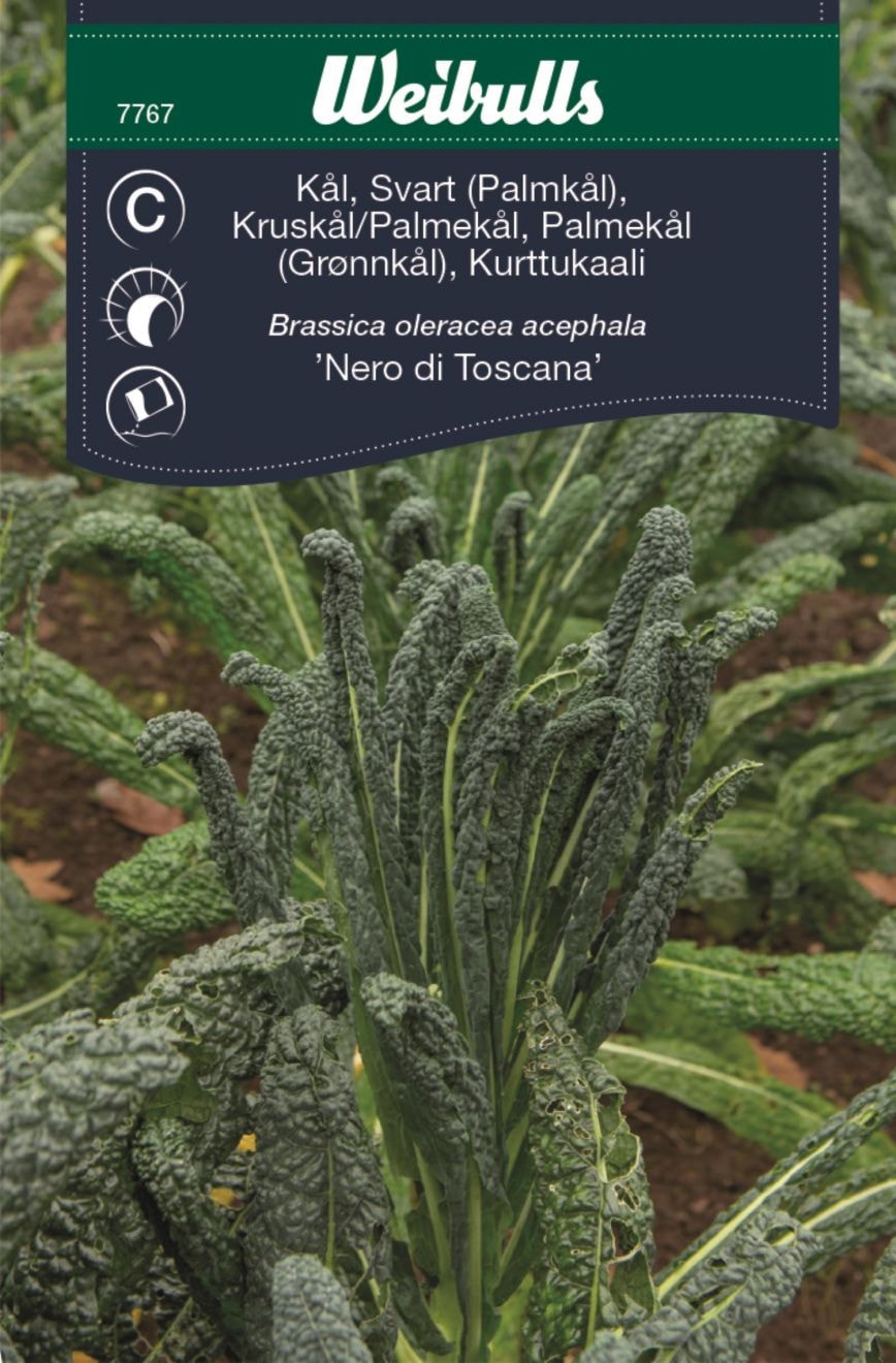 Weibulls Kål, svartkål nero di tos