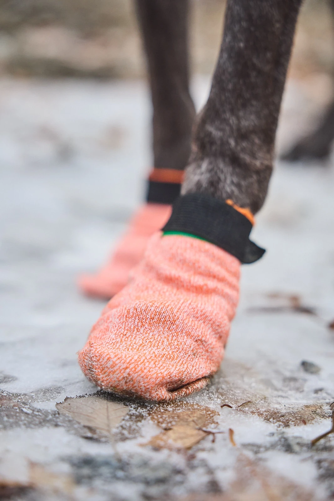 protector_light_socks_setting_4[1].webp