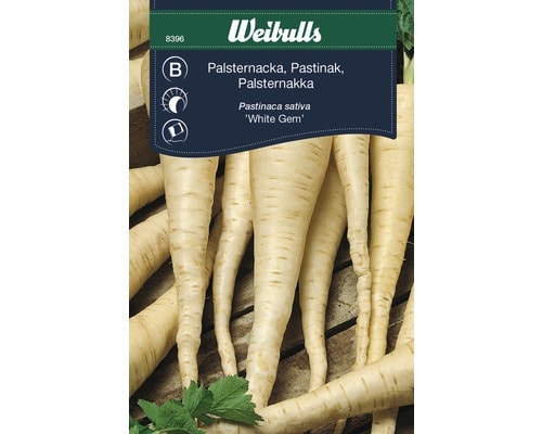 Palsternacka