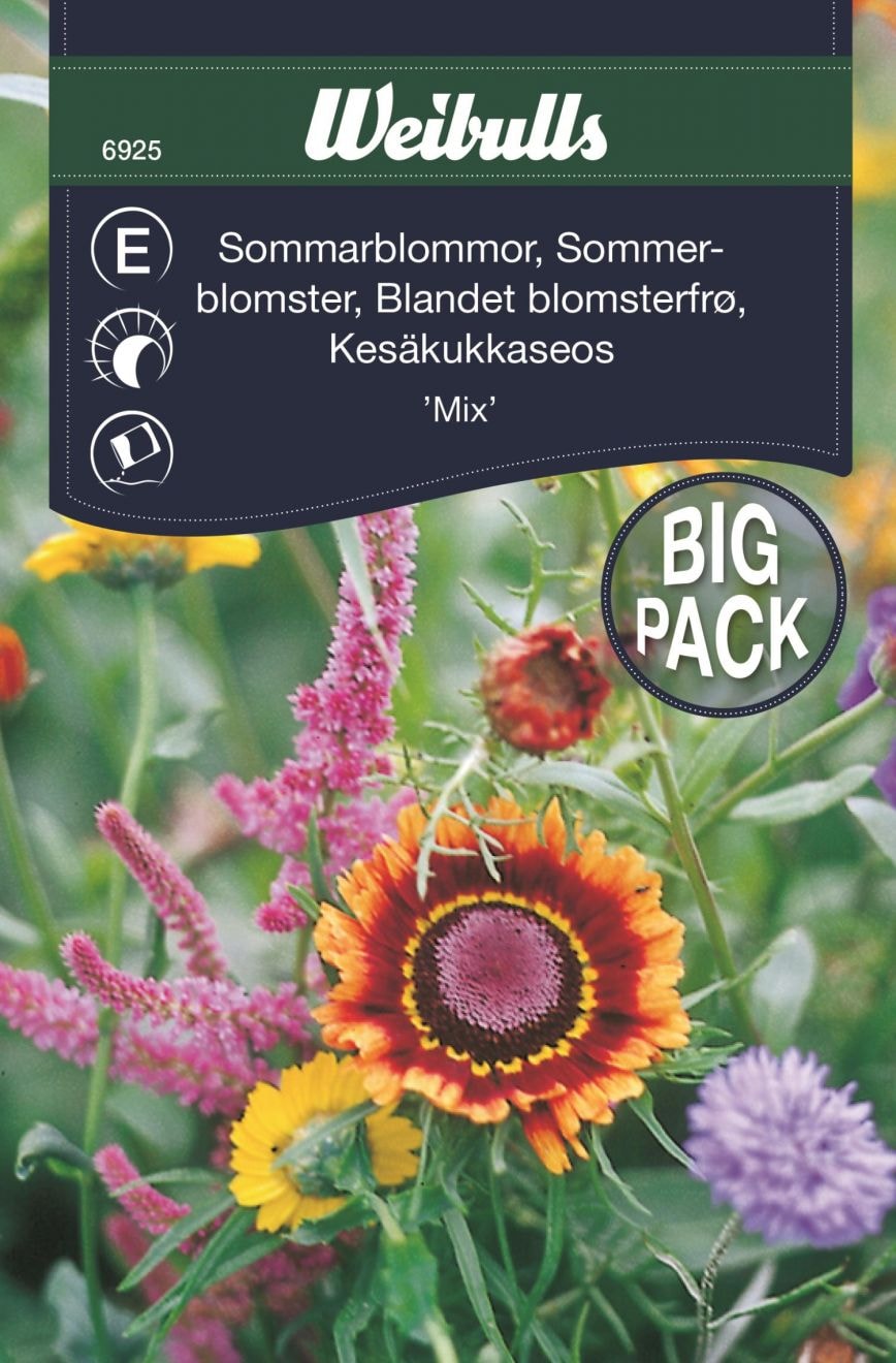 Sommarblommor Storport