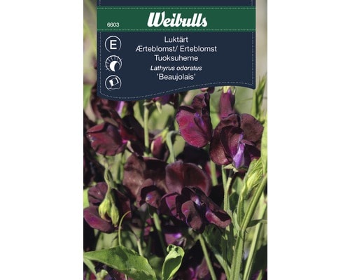 Weibulls Frö Luktärt Beaujolais
