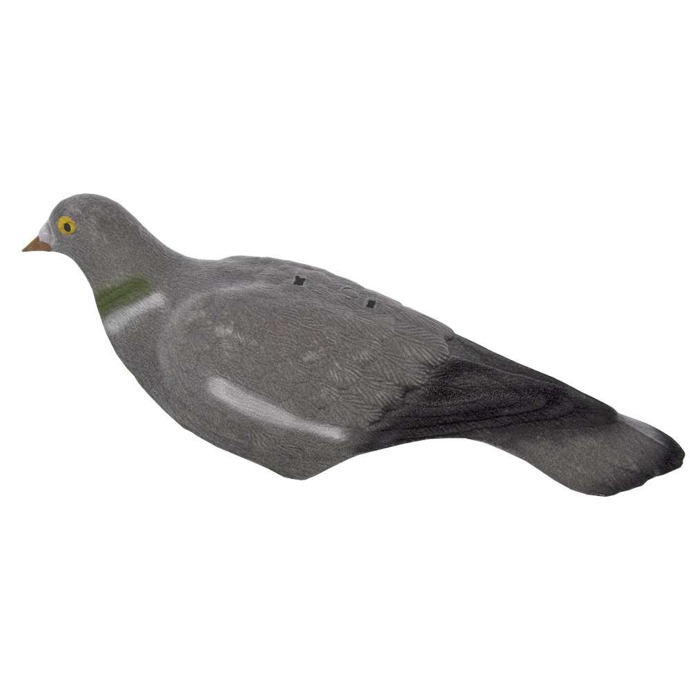 5etta Ringduva, skal