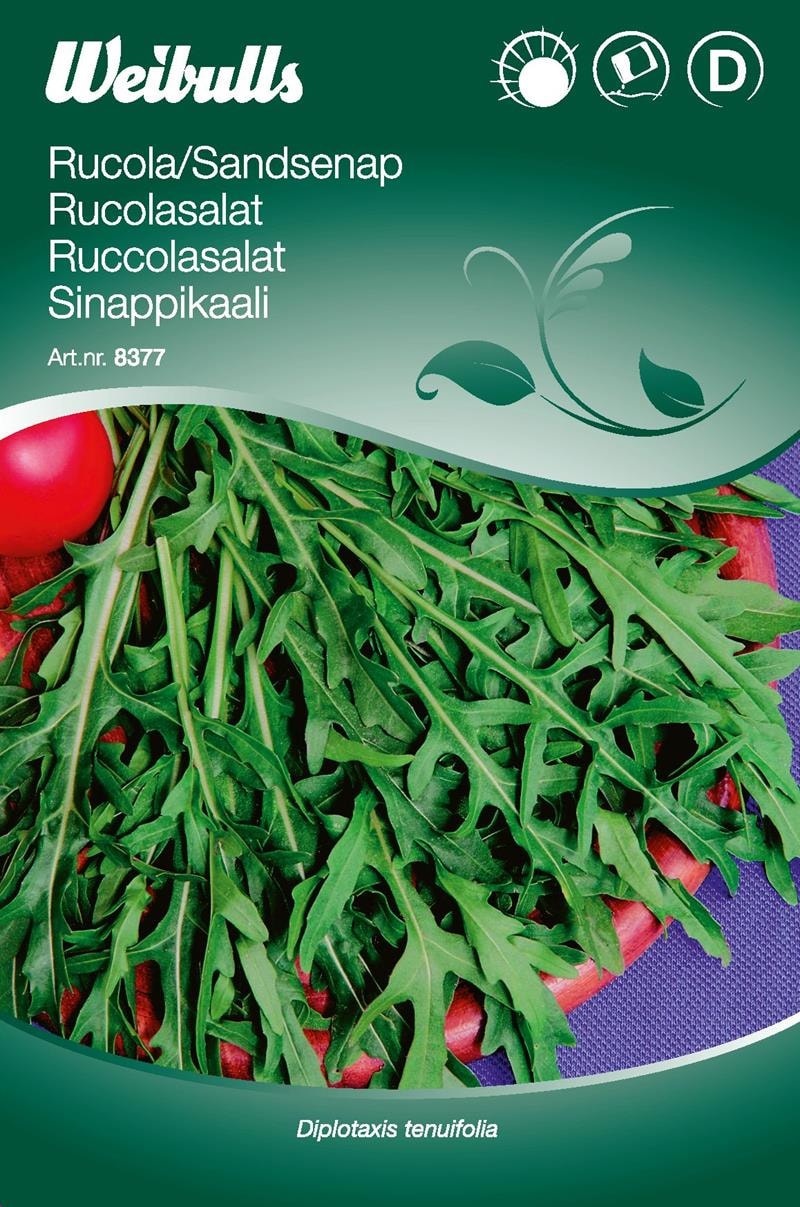 Weibulls Ruccola, Sandsenap Frö
