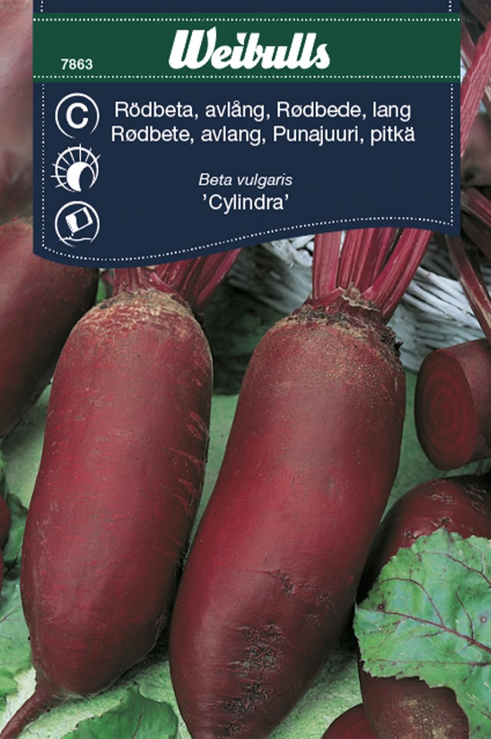 Weibulls Rödbeta, avlång