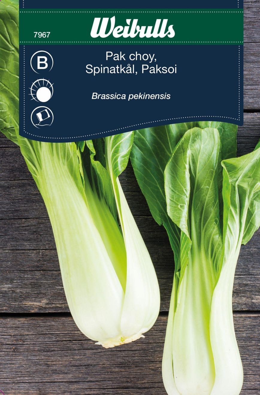 Weibulls Kål, Pak choy