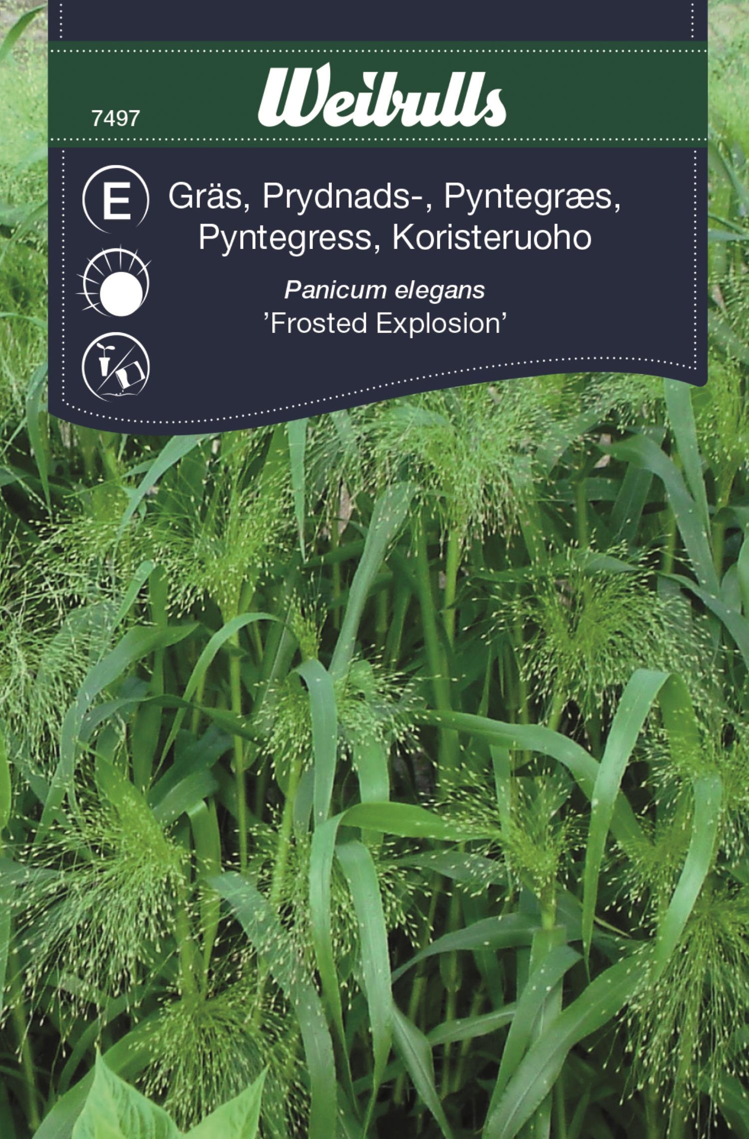 Weibulls Gräs, prydnads